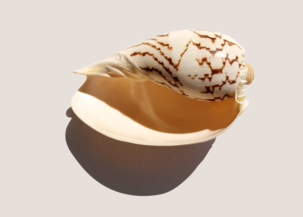 Nourish The Adventure - 5